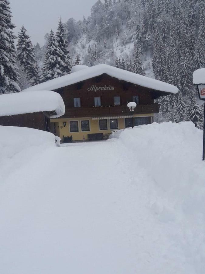 Guest house Haus Alpenheim Flachau