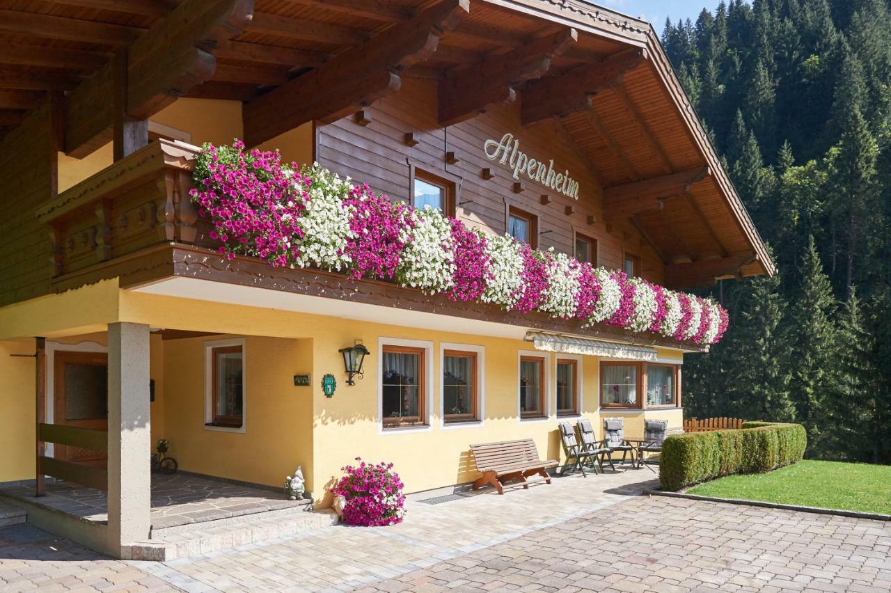 Guest house Haus Alpenheim