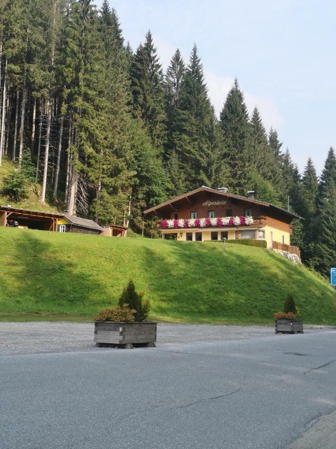 Guest house Haus Alpenheim Flachau