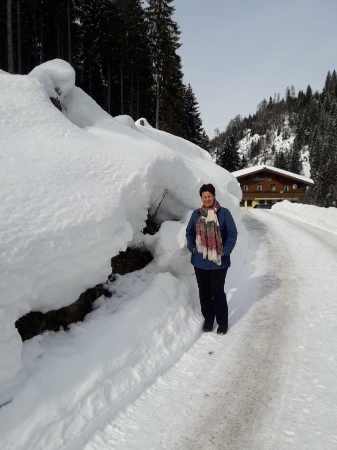 Haus Alpenheim Guest house Flachau